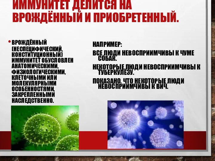 ИММУНИТЕТ ДЕЛИТСЯ НА ВРОЖДЁННЫЙ И ПРИОБРЕТЕННЫЙ. ВРОЖДЁННЫЙ (НЕСПЕЦИФИЧЕСКИЙ, КОНСТИТУЦИОННЫЙ) ИММУНИТЕТ