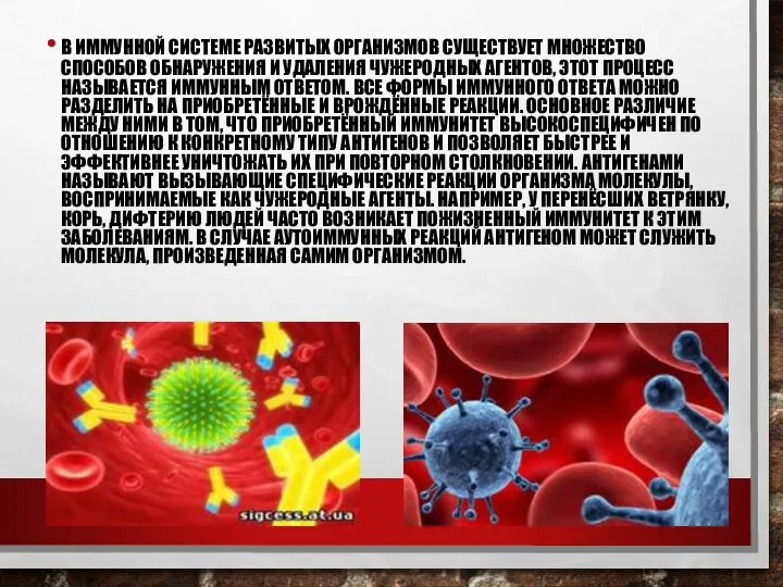 В ИММУННОЙ СИСТЕМЕ РАЗВИТЫХ ОРГАНИЗМОВ СУЩЕСТВУЕТ МНОЖЕСТВО СПОСОБОВ ОБНАРУЖЕНИЯ И