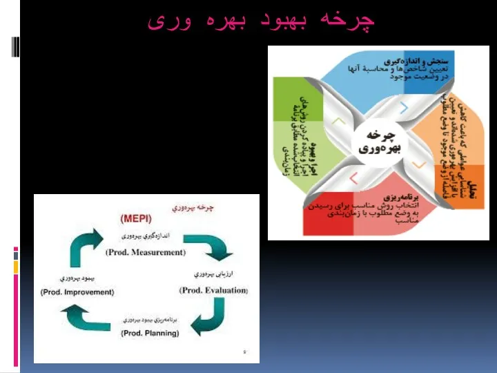 چرخه بهبود بهره وری