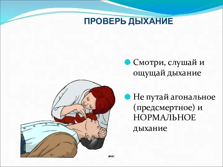 ПРОВЕРЬ ДЫХАНИЕ Смотри, слушай и ощущай дыхание Не путай агональное (предсмертное) и НОРМАЛЬНОЕ дыхание