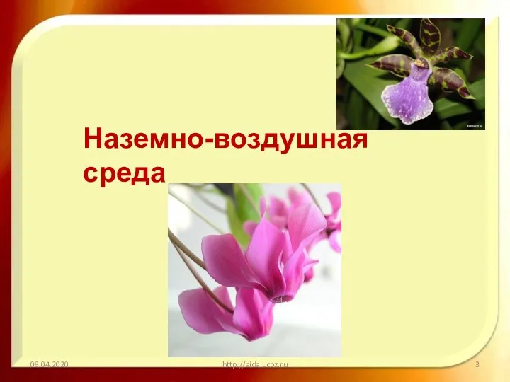 08.04.2020 http://aida.ucoz.ru Наземно-воздушная среда