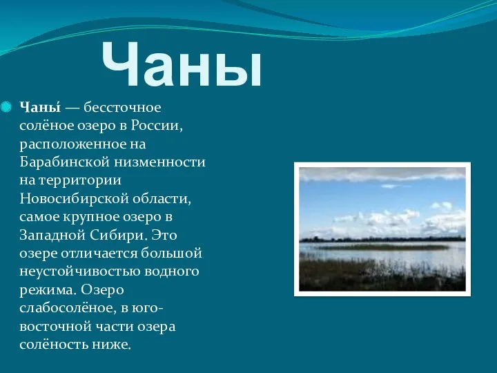 Чаны Чаны́ — бессточное солёное озеро в России, расположенное на