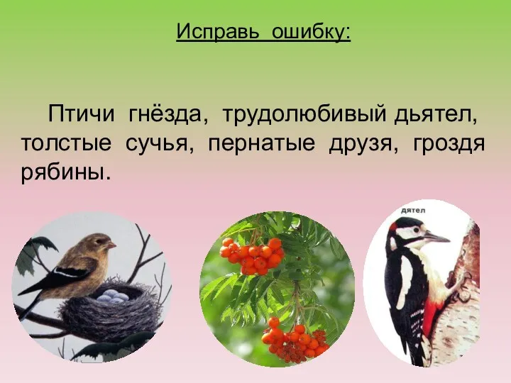 Исправь ошибку: Птичи гнёзда, трудолюбивый дьятел, толстые сучья, пернатые друзя, гроздя рябины.