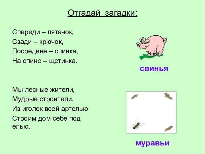 Отгадай загадки: Спереди – пятачок, Сзади – крючок, Посредине –