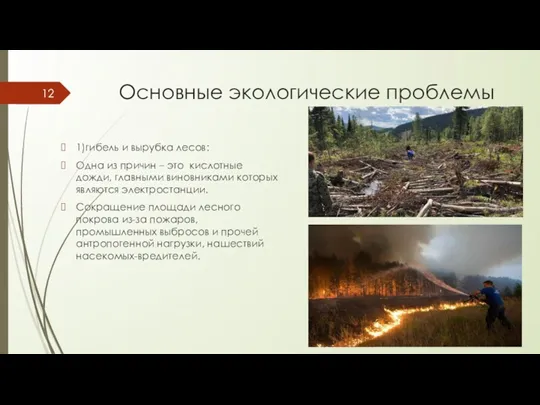 Основные экологические проблемы 1)гибель и вырубка лесов: Одна из причин