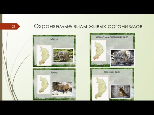 Охраняемые виды живых организмов