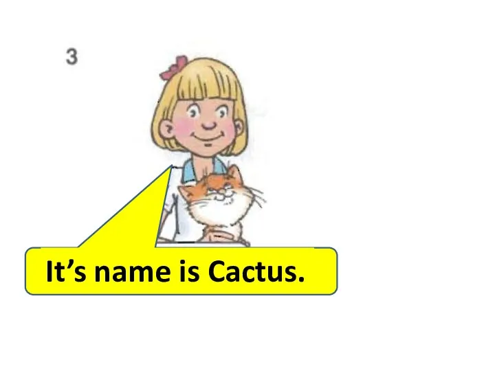 It’s name is Cactus.