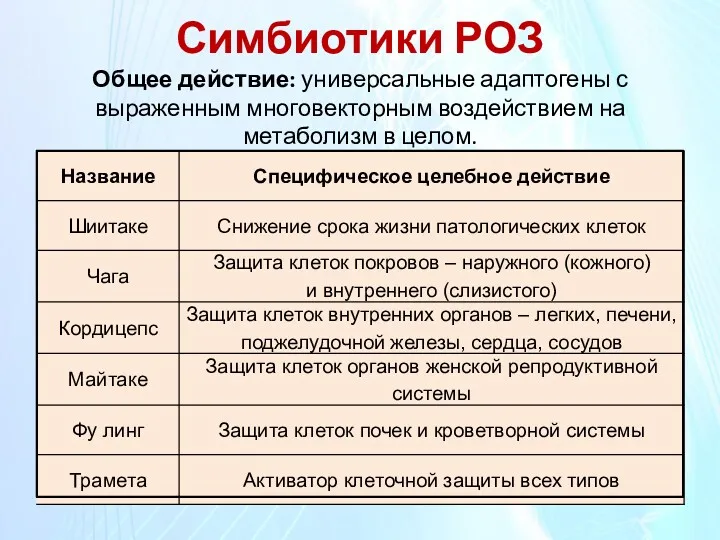 Симбиотики РОЗ Общее действие: универсальные адаптогены с выраженным многовекторным воздействием на метаболизм в целом.