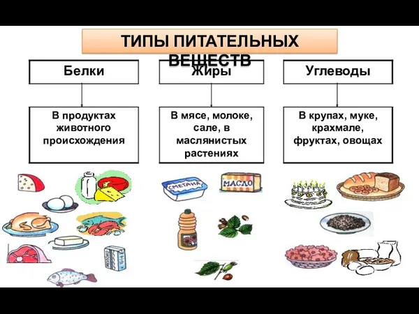 ТИПЫ ПИТАТЕЛЬНЫХ ВЕЩЕСТВ