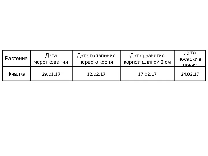 Растение Дата черенкования Дата появления первого корня Дата развития корней