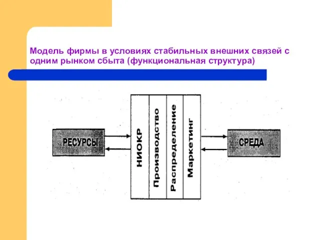 Модель фирмы в условиях стабильных внешних связей с одним рынком сбыта (функциональная структура)