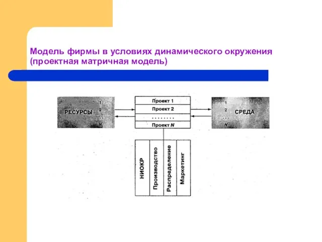 Модель фирмы в условиях динамического окружения (проектная матричная модель)