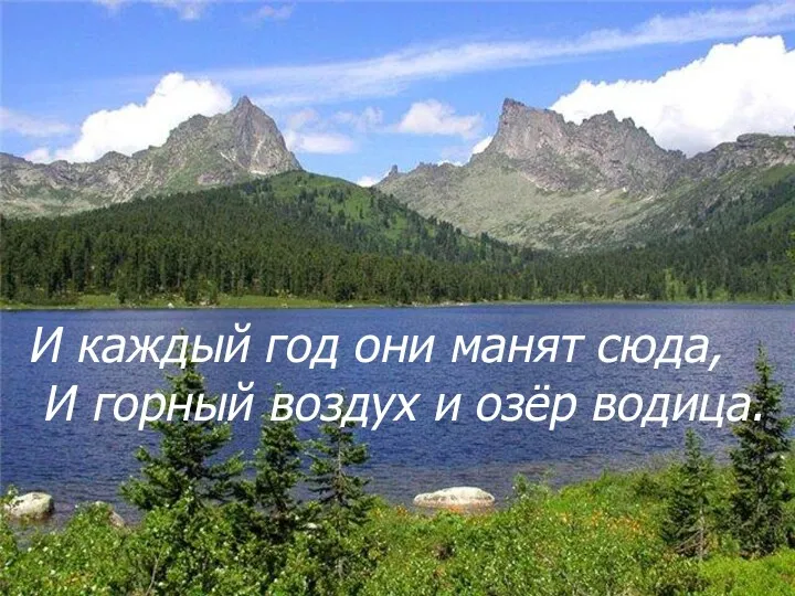 И каждый год они манят сюда, И горный воздух и озёр водица.