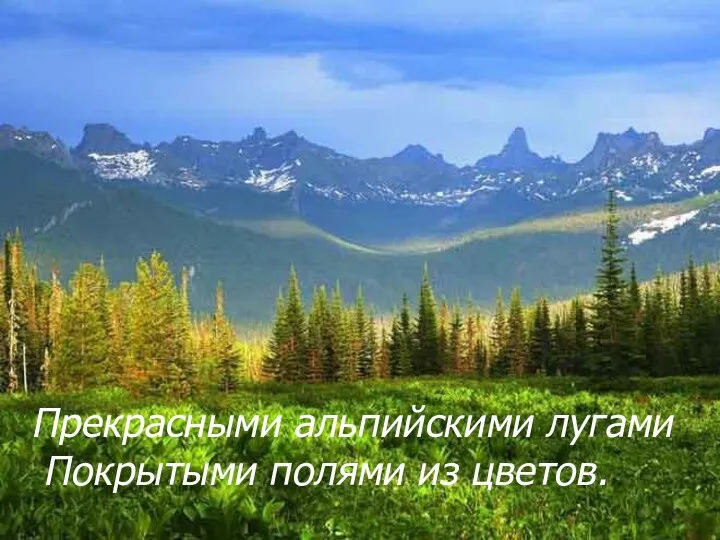 Прекрасными альпийскими лугами Покрытыми полями из цветов.