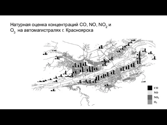 Натурная оценка концентраций CO, NO, NO2 и O3 на автомагистралях г. Красноярска