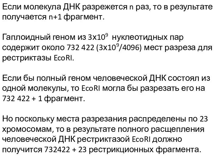 Если молекула ДНК разрежется n раз, то в результате получается n+1 фрагмент. Гаплоидный