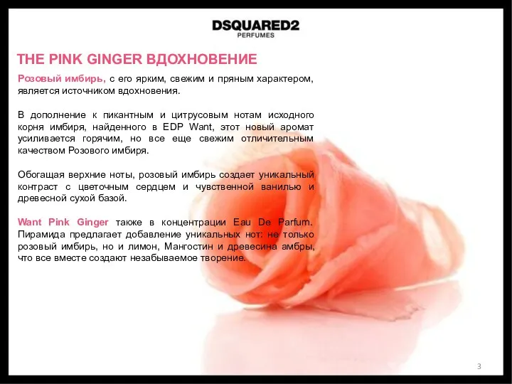 THE PINK GINGER ВДОХНОВЕНИЕ Розовый имбирь, с его ярким, свежим