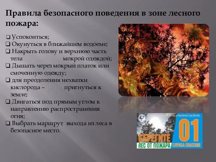 Правила безопасного поведения в зоне лесного пожара: Успокоиться; Окунуться в