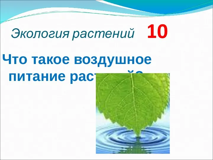 Экология растений 10 Что такое воздушное питание растений?