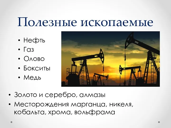 Полезные ископаемые Нефть Газ Олово Бокситы Медь Золото и серебро, алмазы Месторождения марганца,