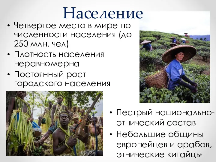 Население Четвертое место в мире по численности населения (до 250 млн. чел) Плотность