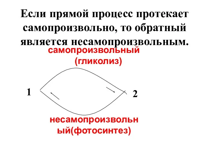 самопроизвольный (гликолиз) несамопроизвольный(фотосинтез) 1 2 Если прямой процесс протекает самопроизвольно, то обратный является несамопроизвольным.