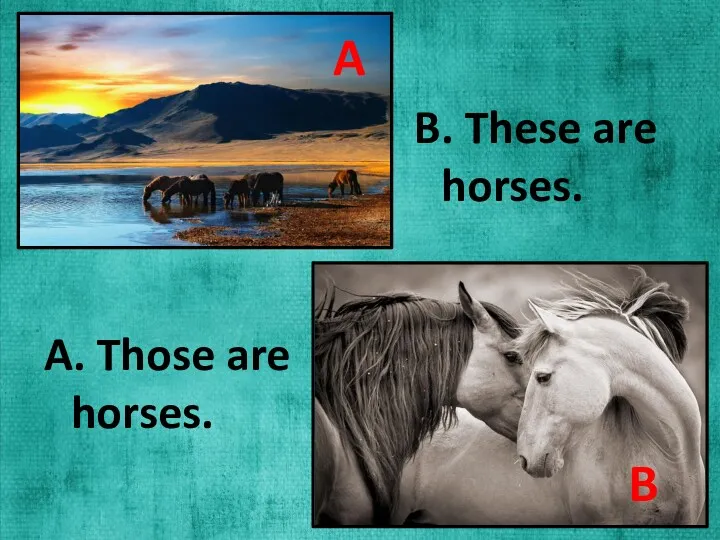 A. Those are horses. B. These are horses. A B