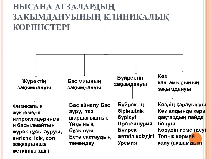 НЫСАНА АҒЗАЛАРДЫҢ ЗАҚЫМДАНУЫНЫҢ КЛИНИКАЛЫҚ КӨРІНІСТЕРІ Жүректің зақымдануы Бас миының зақымдануы