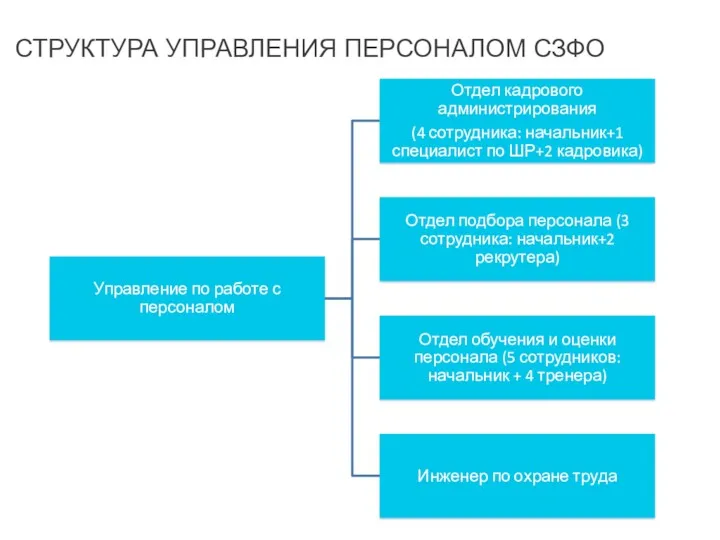 СТРУКТУРА УПРАВЛЕНИЯ ПЕРСОНАЛОМ СЗФО