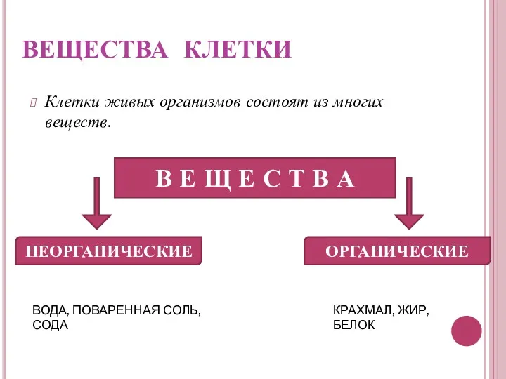 ВЕЩЕСТВА КЛЕТКИ Клетки живых организмов состоят из многих веществ. В