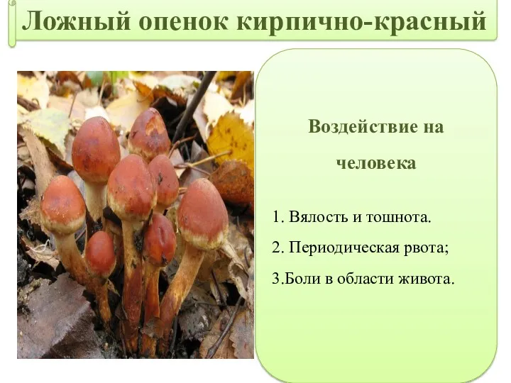 Воздействие на человека 1. Вялость и тошнота. 2. Периодическая рвота; 3.Боли в области