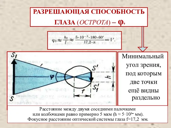 РАЗРЕШАЮЩАЯ СПОСОБНОСТЬ ГЛАЗА (ОСТРОТА) – φ0 Минимальный угол зрения, под