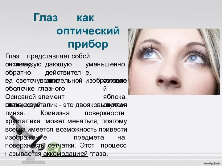 Глаз как оптический прибор Глаз представляет собой оптическую систему, обратное,