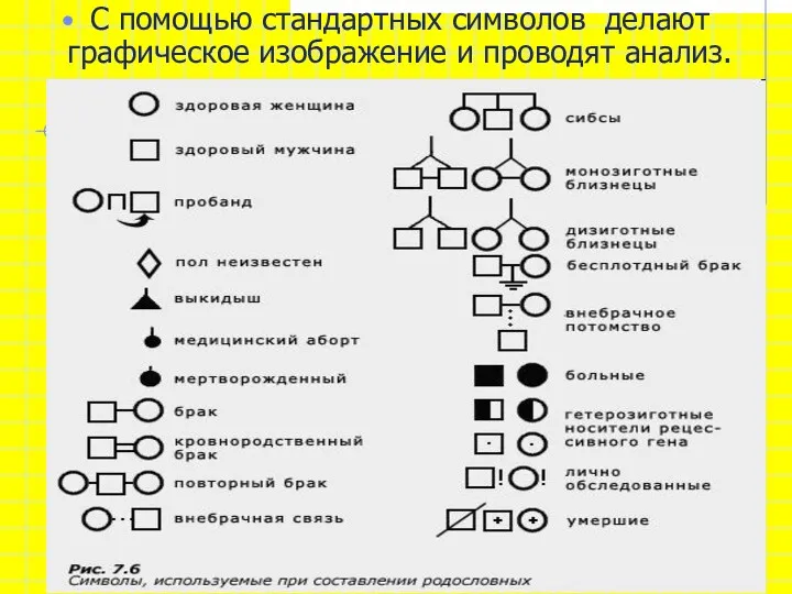 С помощью стандартных символов делают графическое изображение и проводят анализ.