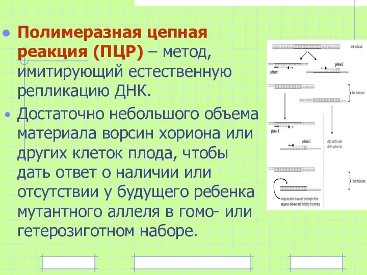 Полимеразная цепная реакция (ПЦР) – метод, имитирующий естественную репликацию ДНК.