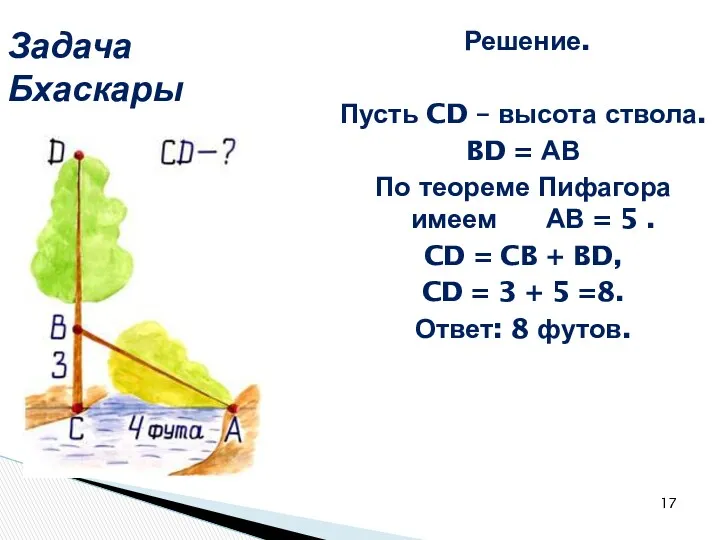 Задача Бхаскары Решение. Пусть CD – высота ствола. BD =