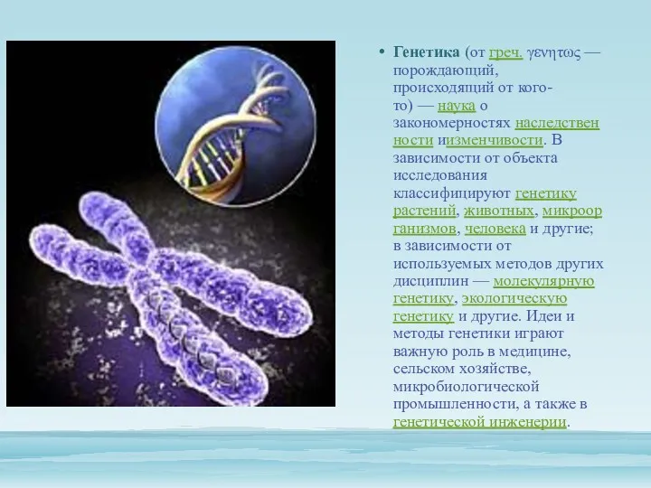 Генетика (от греч. γενητως — порождающий, происходящий от кого-то) —