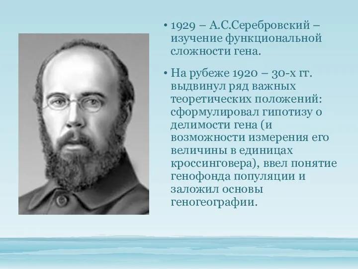 1929 – А.С.Серебровский – изучение функциональной сложности гена. На рубеже