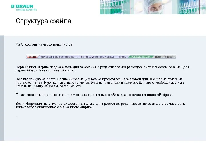 Структура файла Файл состоит из нескольких листов: Первый лист «Input»
