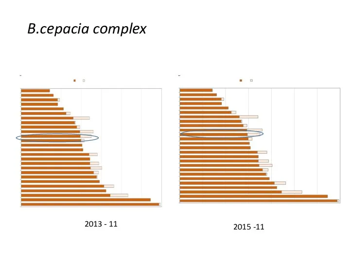 B.cepacia complex 2013 - 11 2015 -11