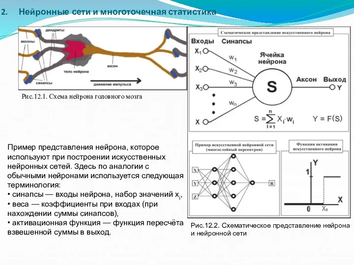 2. Нейронные сети и многоточечная статистика Рис.12.1. Схема нейрона головного мозга Рис.12.2. Схематическое