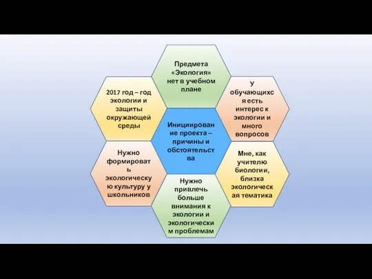 2017 год – год экологии и защиты окружающей среды Предмета