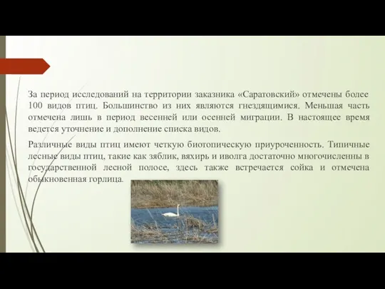 За период исследований на территории заказника «Саратовский» отмечены более 100