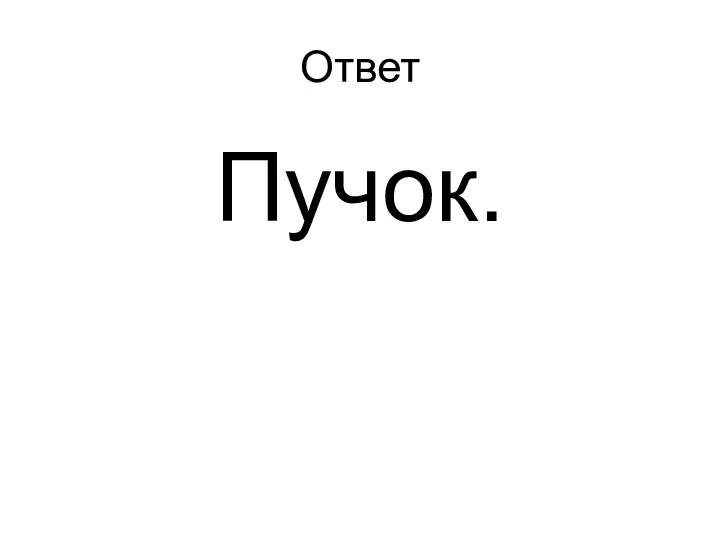 Ответ Пучок.