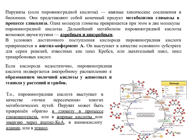 Пируваты (соли пировиноградной кислоты) — важные химические соединения в биохимии.