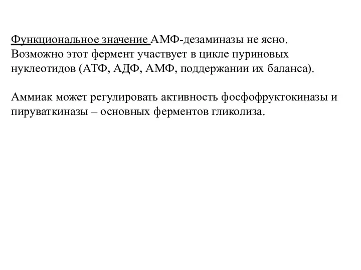 Функциональное значение АМФ-дезаминазы не ясно. Возможно этот фермент участвует в