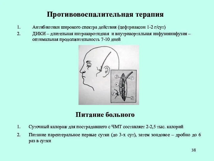 Противовоспалительная терапия Антибиотики широкого спектра действия (цефтриаксон 1-2 г/сут) ДИКИ