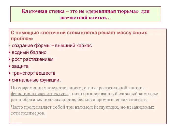 Клеточная стенка – это не «деревянная тюрьма» для несчастной клетки…