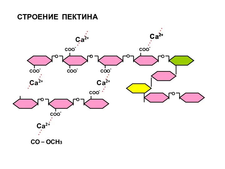 СО – ОСН3 О О О О О О О