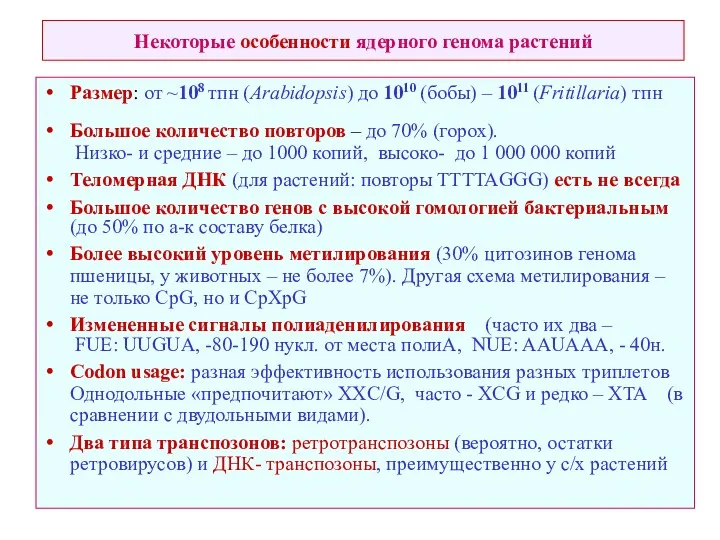 Некоторые особенности ядерного генома растений Размер: от ~108 тпн (Arabidopsis)